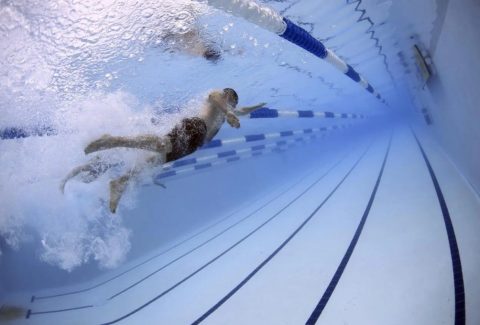6 Training Strategies to Accelerate Expertise from Sternberg's Model of Intelligence